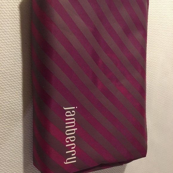 Jamberry kit case - Picture 2 of 3